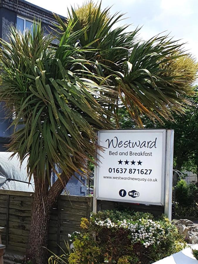 New Quay Westward B&B מראה חיצוני תמונה