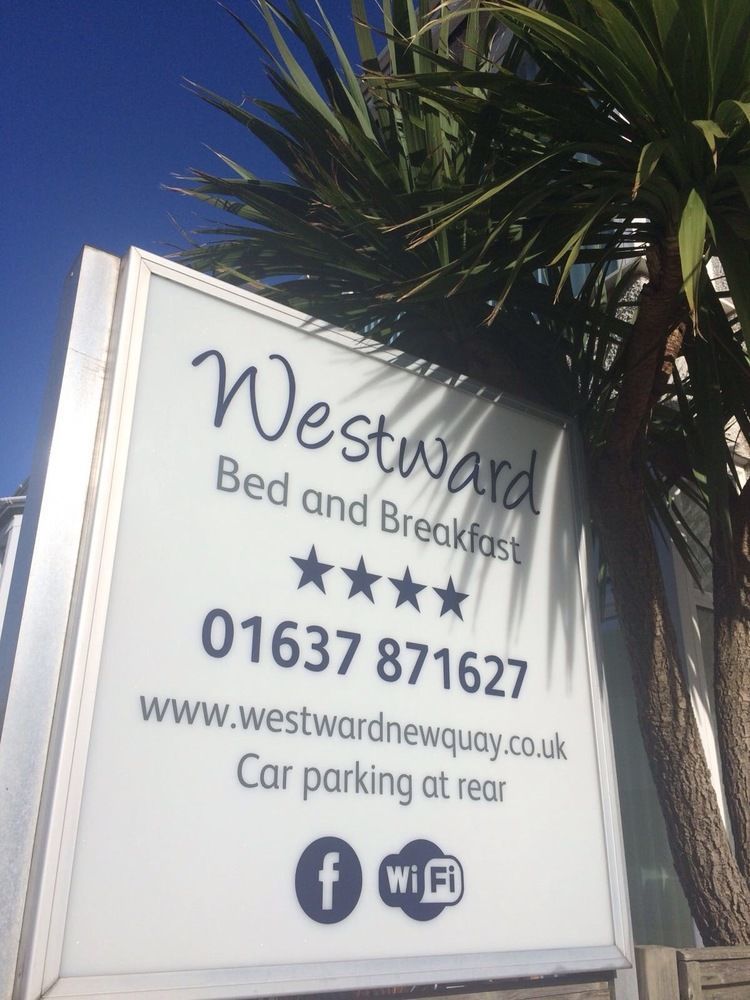New Quay Westward B&B מראה חיצוני תמונה